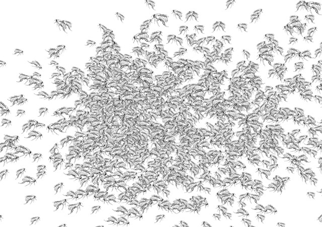 Johanna Tinzl & Stefan Flunger - Die Projektionsfläche unserer Paranoia, 2005